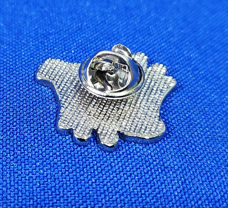 pin Libras / acesso em Libras