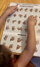 Alfabeto Manual e números em Libras encaixável